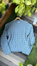 Blue sweater on a hanger with plants in the background