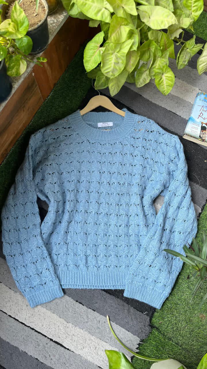 Blue sweater on a hanger with plants in the background